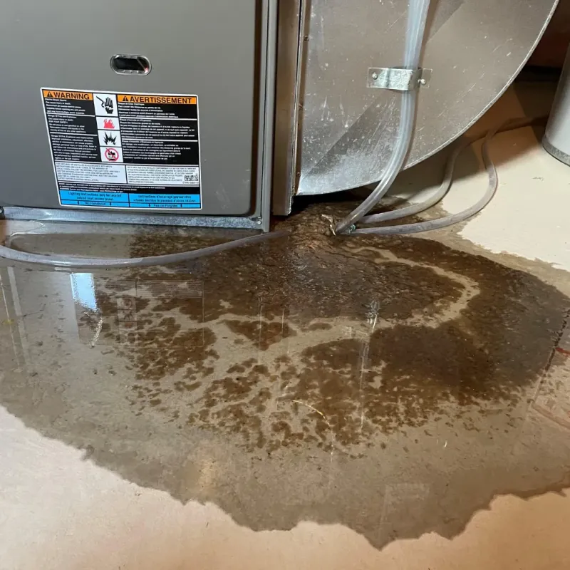 Appliance Leak Cleanup in Hawaiian Beaches, HI