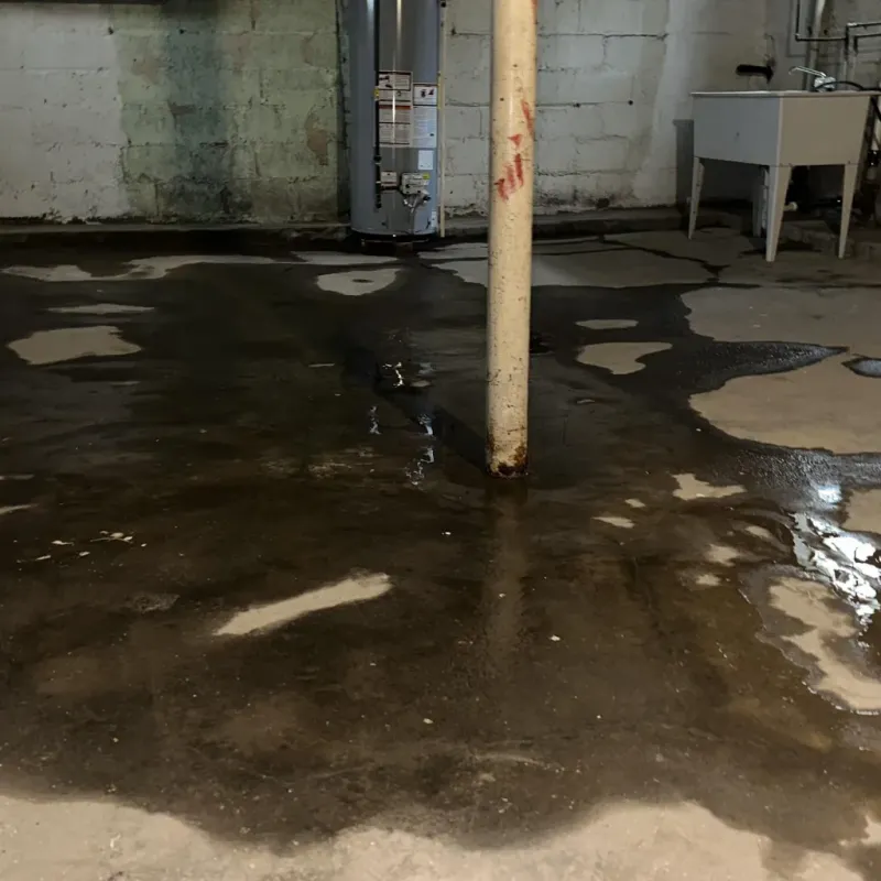 Emergency Water Extraction And Removal in Hawaiian Beaches, HI